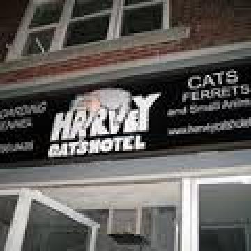Harvey Cat's Hotel