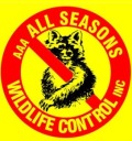 AAA All Seasons Wildlife Control Inc