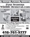 Four Seasons Wildlife Removal
