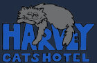 Harvey Cat's Hotel